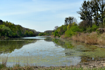 Austria, National Park Donau-Auen