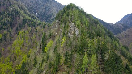 Obraz premium Aerial drone panorama of a wooded rocky mountain crest in Latorita Valley. The steep Mountain sides are covered with dense coniferous and beech forests. Springtime, Latorita Massif, Carpathia, Romania