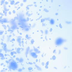 Dark blue flower petals falling down. Imaginative