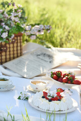 Obraz na płótnie Canvas Cute picnic in the spring garden.