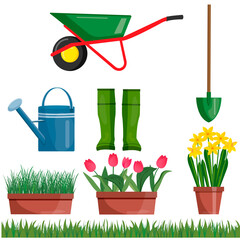 Set  of garden tools. Vector illustration of gardening elements.  Shovel and garden boots, watering can, wheelbarrow on the background. Flowers in pots, tulips, daffodils, green grass.