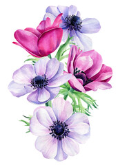 Watercolor bouquet flowers, anemones on isolated white background, floral design 