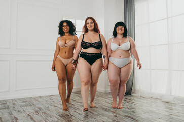 Body acceptance concept. Group of curvy girl posing in studio against society prejudice
