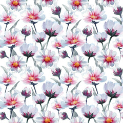 Hand drawn watercolor seamless pattern. Cosmos flowers on white background. Nice blossoming endless texture for your design.