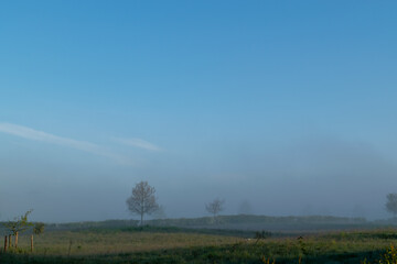 Dutch landscape photographed during the morning