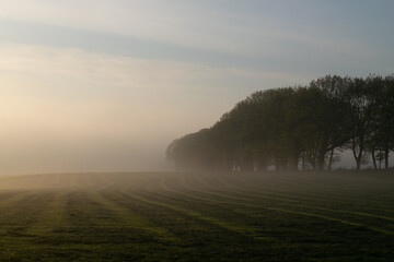 Dutch landscape photographed during the morning