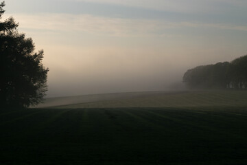 Fototapeta na wymiar Dutch landscape photographed during the morning