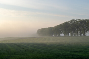 Dutch landscape photographed during the morning
