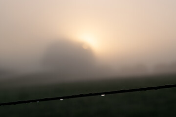 Fototapeta na wymiar Sunrise at foggy morning in holland