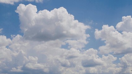 Fluffy  cloudscape against blue sky shaped like animal.