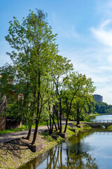 Obraz premium Kaliningrad, picturesque trees on the shore of the ancient Lower Pond