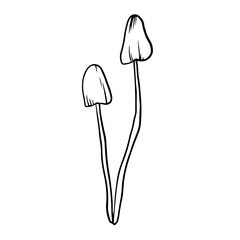 Doodle style mushroom on isolated white background. Forest mushroom. Vector illustration.