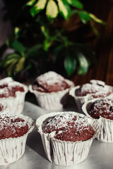 Close-up of muffins on a tray. Powdered sugar cakes. The work of the confectionery industry. Each cupcake is wrapped in paper wrapping.