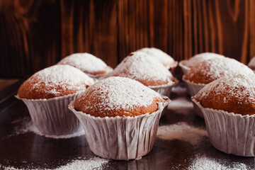 Close-up of muffins on a tray. Powdered sugar cakes. The work of the confectionery industry. Each cupcake is wrapped in paper wrapping.