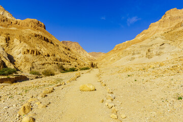 Footpath along the Arugot stream, in Ein Gedi Nature Reserve