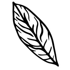Doodle leaf on isolated white background. Forest leaves. Vector illustration.