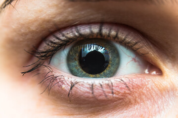 macro photo of a wide-open one human eye, eyeball with dilated pupil and reflection on its surface, gray eye color, painted and mascara eyeliner, fluffy eyelashes, women's cosmetics, self-care - obrazy, fototapety, plakaty