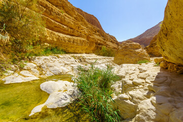 Upper pools, Arugot stream, Ein Gedi Nature Reserve