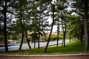 韓国、大邱大学を訪問する