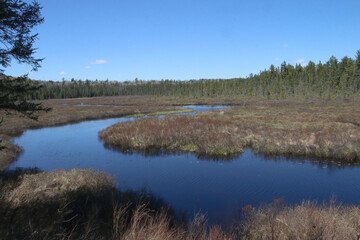 Algonquin Provincial park scenery in spring including rapids, beaver ponds and rocky trails