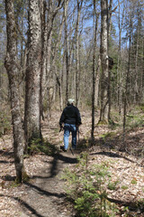 Obraz premium Hiking in Algonquin Park in spring with photography gear