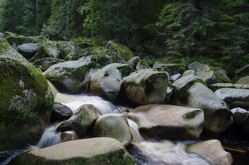 &Scaron;umava - Povydř&iacute;