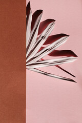 pink palm branch on pink and brown background with deep shadow. Minimal summer exotic concept.