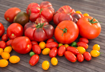 different varieties of ripe red and yellow appetizing tomatoes