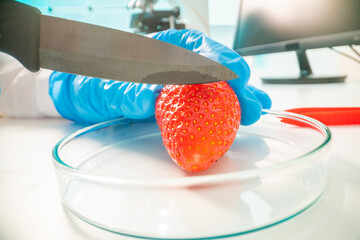 Inspection of the quality of vegetables and fruits in the laboratory of food quality