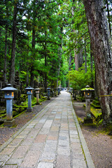 Obraz premium path in the park