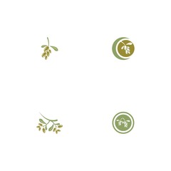 olive icon vector illustration