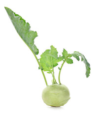  turnip isolated on a white background