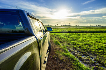 Pickup Truck in the Field at Sunset