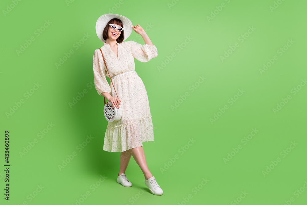 Sticker Full length body size photo woman smiling happy in sunglass wearing dress bag laughing overjoyed isolated pastel green color background