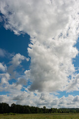 Huge clouds over the tops of the deciduous forest trees and the background of the blue sky.