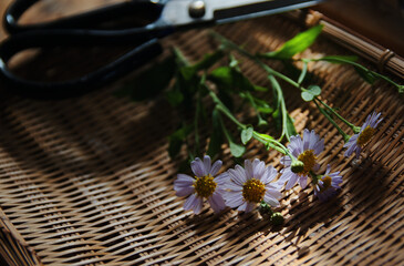 Bamboo basket with flowers