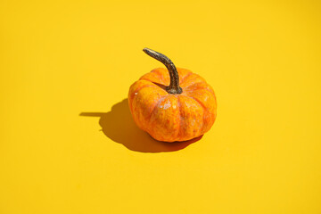 A small yellow pumpkin on a bright yellow surface