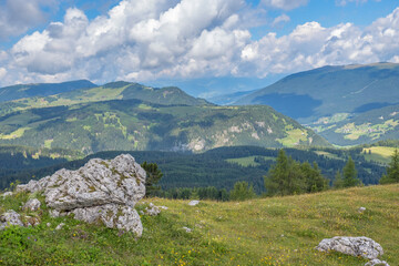 Fototapeta na wymiar Alp meadow with a beautiful view of a valley
