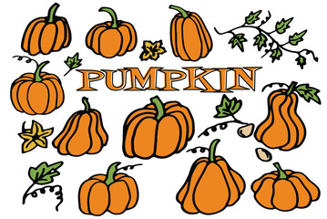 Collection of  pumpkin in doodle style. Fall harvest. Vector set. Can be used for printed materials. Food background. Hand drawn.
