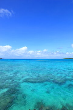 青い空とエメラルドグリーンの海