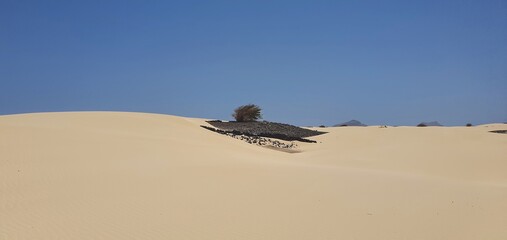 Fototapeta na wymiar Wüste, Boa Vista, Cabo Verde