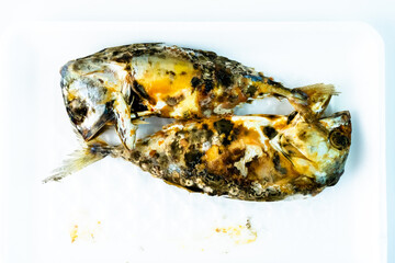 Steamed mackerel with mold that grows on the mackerel on white background.