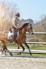 Reiten
