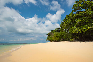 sea and beach with trees and blue sky