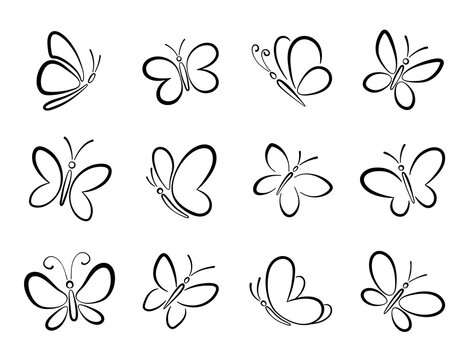 Set of different black butterfly outlines silhouettes for design.