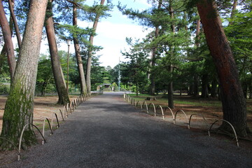 福島県須賀川市の須賀川牡丹園