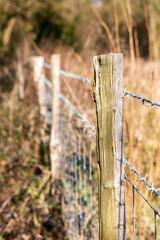 close-up of a fence with barbed wire