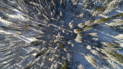 top view of the winter forest. panorama of snow-covered mountain taiga for decoration of a Christmas theme