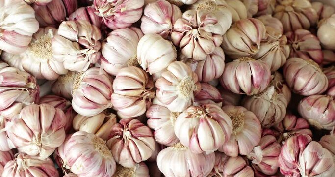 Organic Grown Garlic Display On Vegetable Boxes In Market. - High Angle, Orbiting