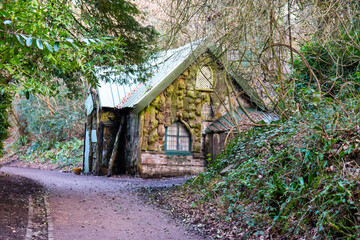 old house in the woods